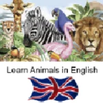 Logo of Learn Animal Names in English android Application 