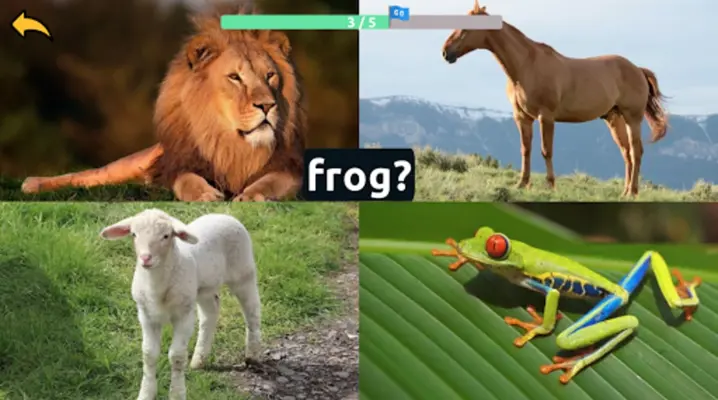 Learn Animal Names in English android App screenshot 1