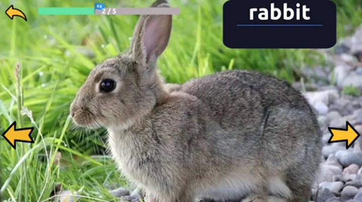 Learn Animal Names in English android App screenshot 2